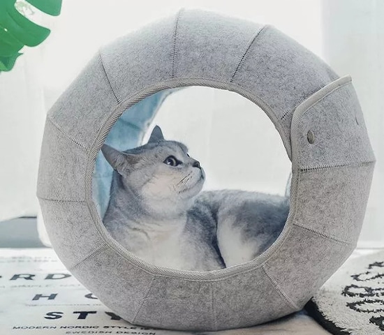 cat bed (1)