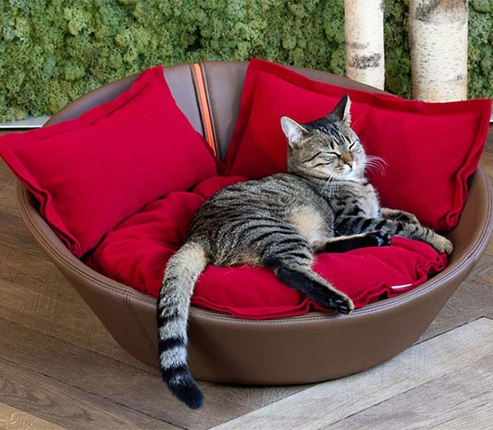 cat bed (2)