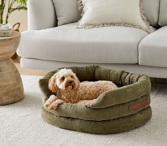 dog bed (3)