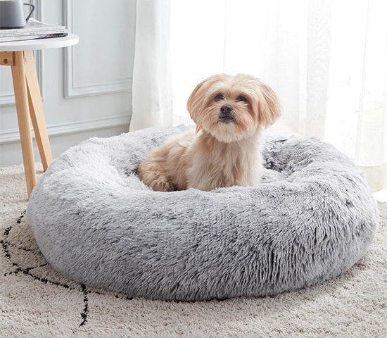 Image of a pup in a dog bed