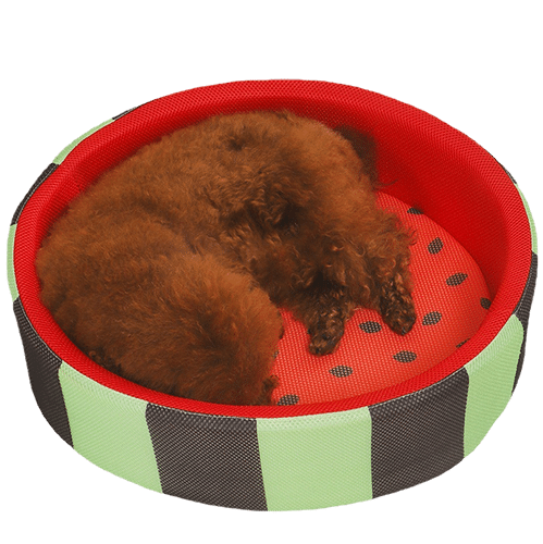 dog bed1